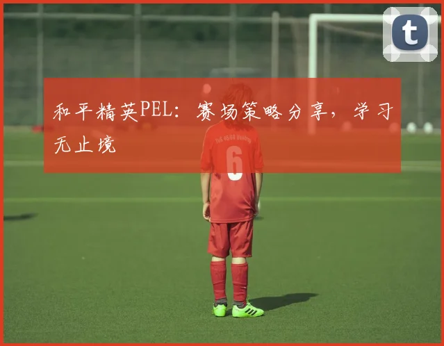 和平精英PEL：赛场策略分享，学习无止境