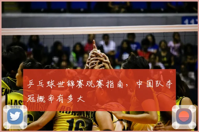 对战数据统计